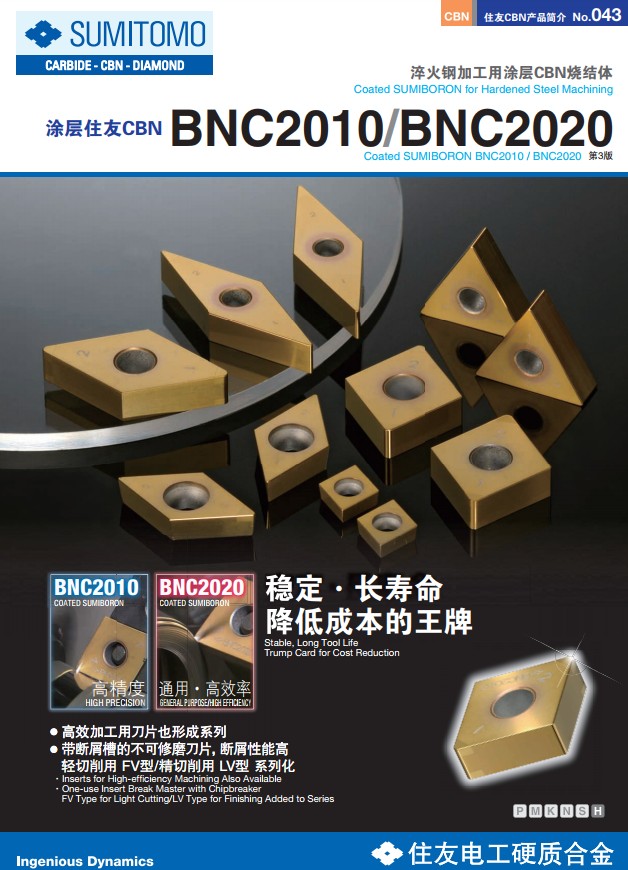 BNC2010 2020